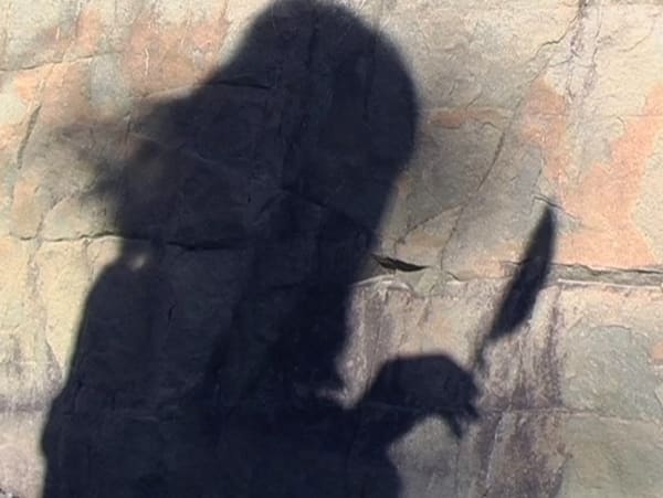 #63 Haiku, The Art of Observing - Madelon Hooykaas