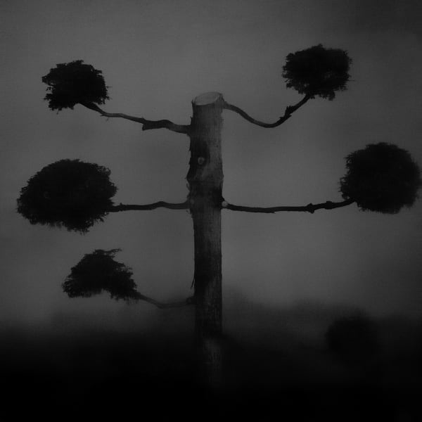 #66 Beyond What You See - Toshiya Watanabe