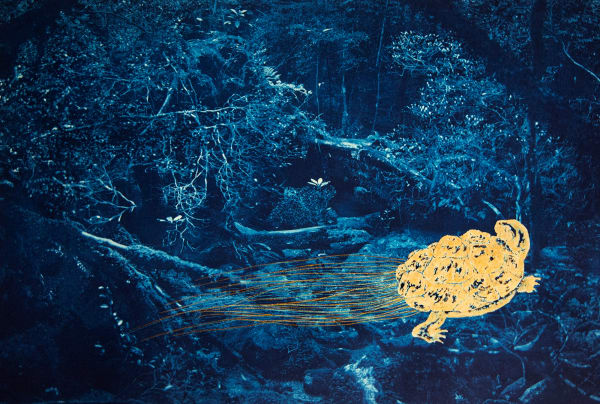 #71 the Turtle and the Monk - Anaïs López