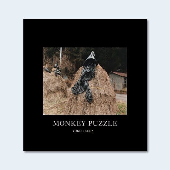 Monkey Puzzle - Yoko Ikeda