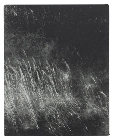 Torikumo - Haruka Fujita