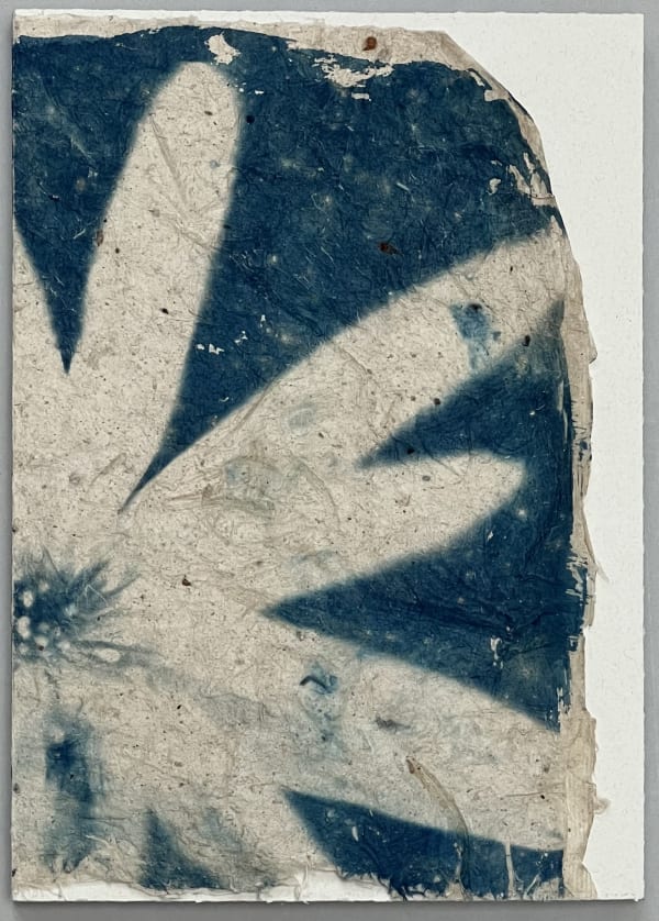 air, flowers and colours - Mika Horie