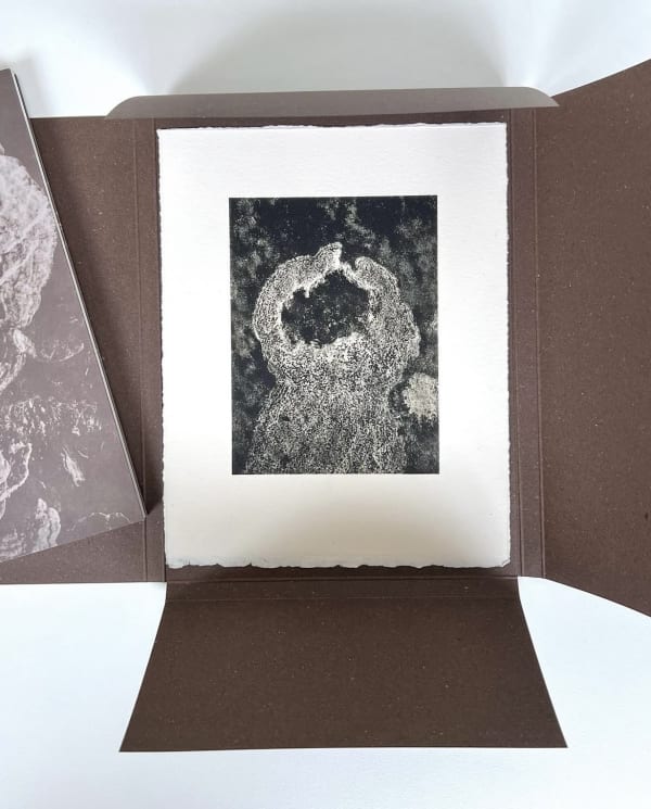 Mycelium (special edition) - Justus De Rode