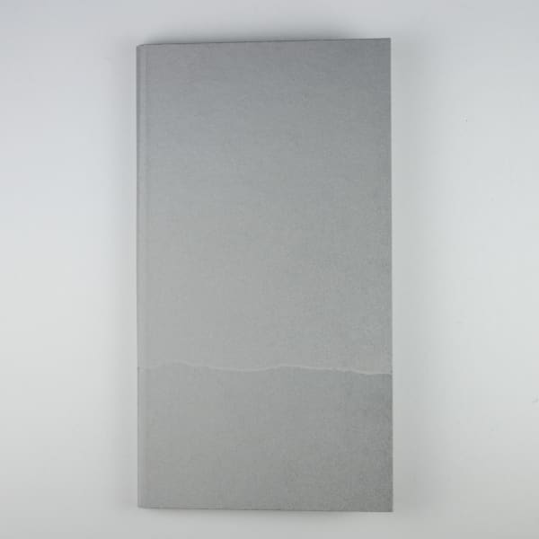Passent les heures blanches - Yannig Hedel