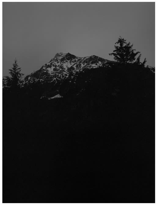 The Living Mountain - Awoiska van der Molen