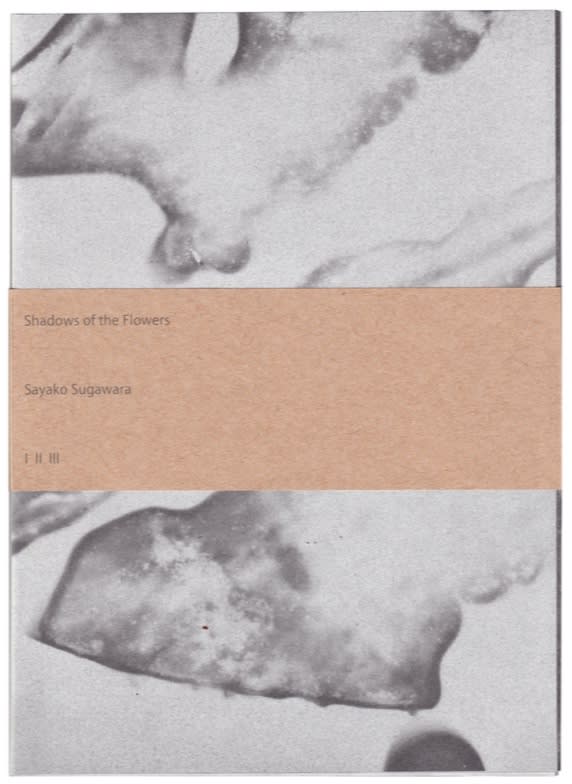 Shadows of the Flowers I,II,III - Sayako Sugawara