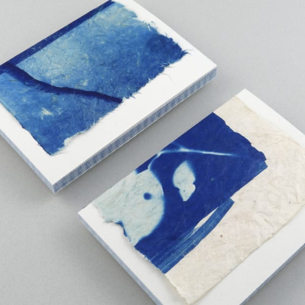 Book: Trees, Water and Light by Mika Horie