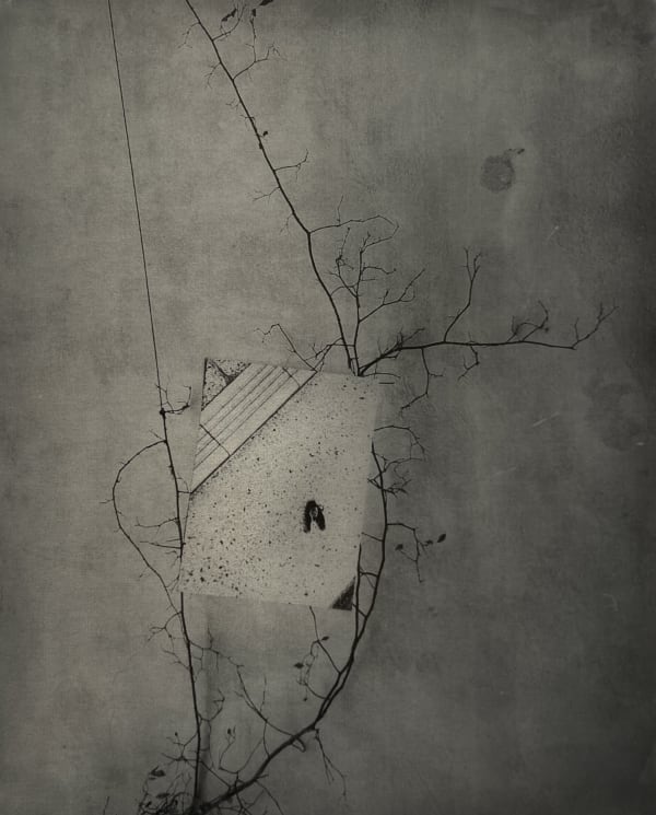 #54 Undercurrents - Sayako Sugawara, Installation Video