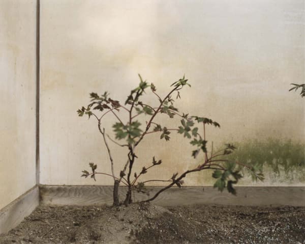 #56 Contrepoint - Yoko Ikeda, Installation Video