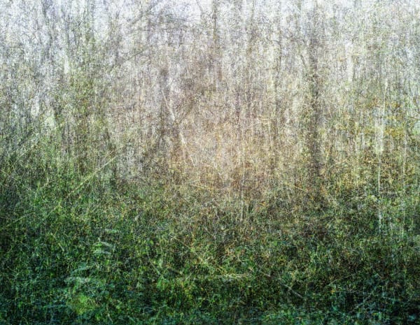 #61 Imprint of Time - Hideyuki Ishibashi, Installation Video