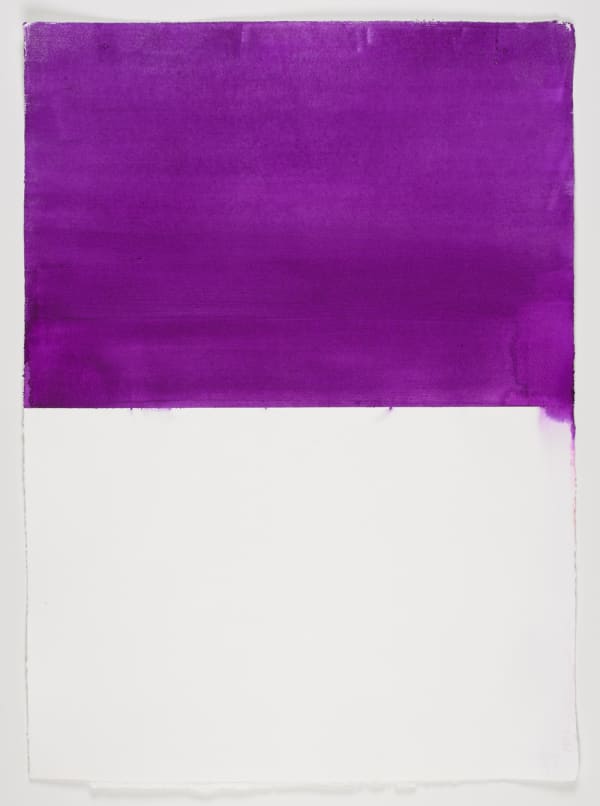 Untitled 2011 watercolour on paper 79 x 57 cm (paper size)