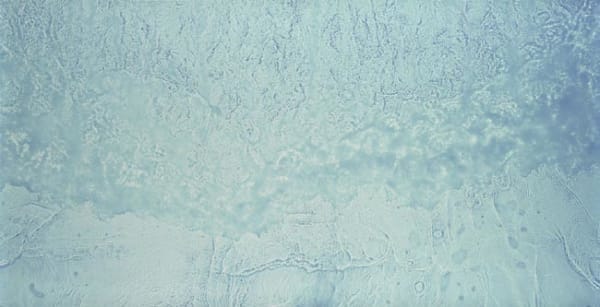 Full Moon Shoreline, 2003 2003 unique photogram on Cibachrome paper 110 x 206.5 cm (framed), 101.5 x 201cm (paper size)