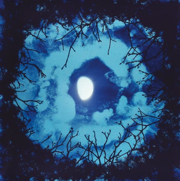 Luna 2006 dye destruction (Ilfochrome) print, series of 5 each unique 40