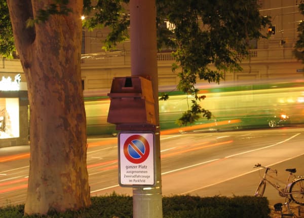 Fair Proposal no. 45: Owl Boxes Tuesday 19 June 2007