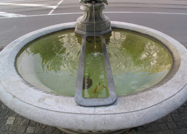 Fair Proposal no. 39: Fish and Fountains Wednesday 13 June 2007