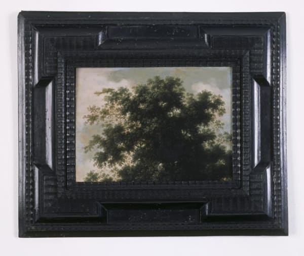 Study of a Tree (The Wolf's Belly) Late 17th Century Dutch School / 2006 3 Parts: oil on copper painting (in box frame); and two text panels (framed)
