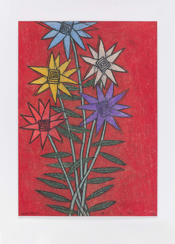 David Austen Untitled (night flowers) 18.2.16, 2016 coloured pencil on paper 36.6 x 28 cm (framed)