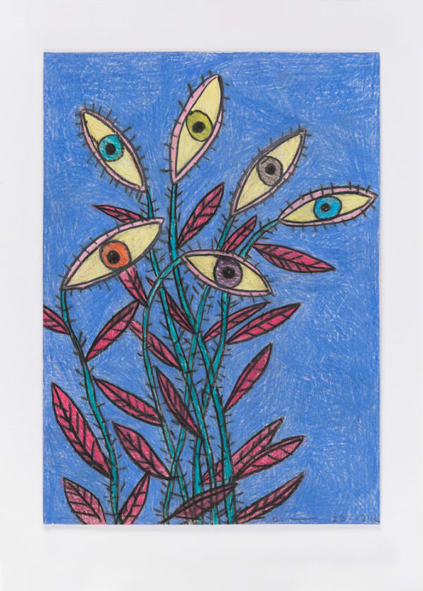 David Austen Untitled (night flowers, eyes) 22.12.12, 2012 coloured pencil on paper 36.6 x 28 cm (framed)