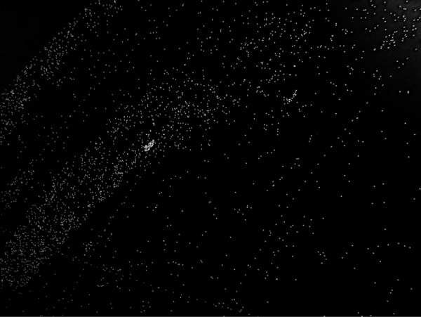 and per se and part III - Albrecht Durer and Katie Paterson