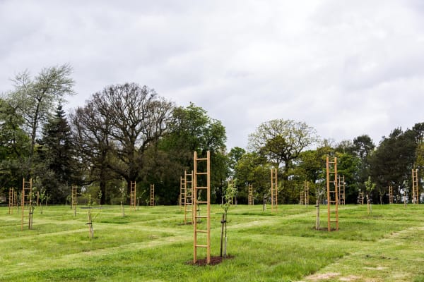 Aa Jupiter Artland262A7966