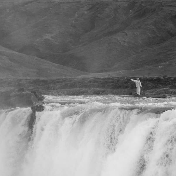 Katie Paterson - Arbor, 2025