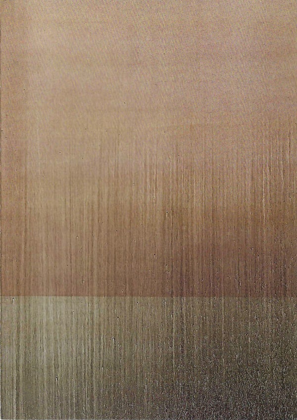 Callum Innes
