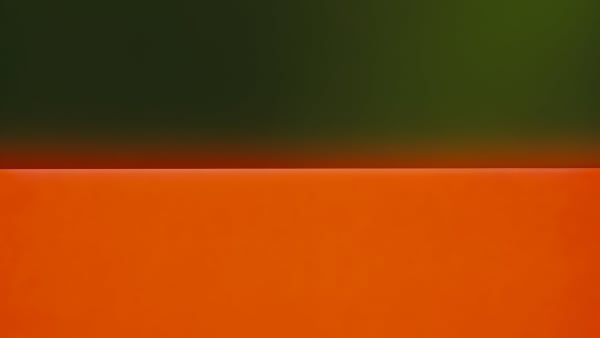 Garry Fabian Miller - V&A