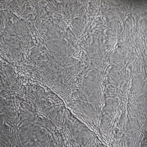 (detail) Susan Derges, River Taw (Leat 2), 1997