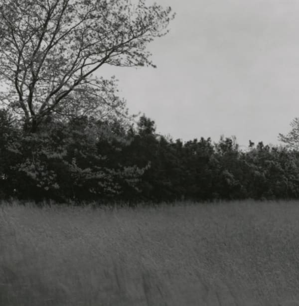 Thomas Joshua Cooper - Parrish Art Museum