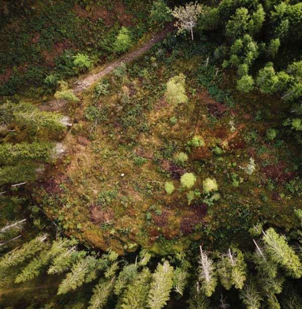 KATIE PATERSON - FUTURE LIBRARY