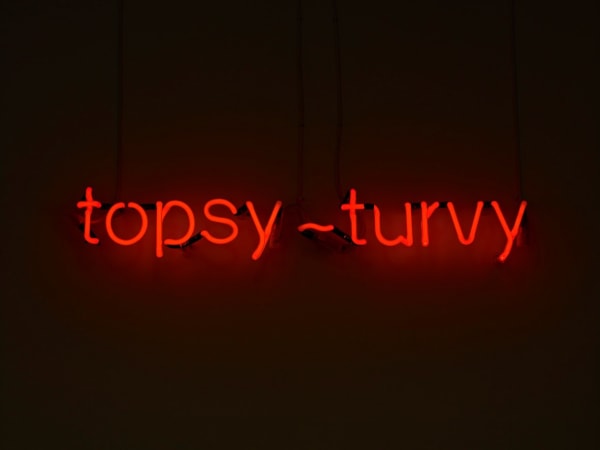 Peter Liversidge, Topsy Turvy, 2010 , Neon, 75 x 12.5 x 4 cm