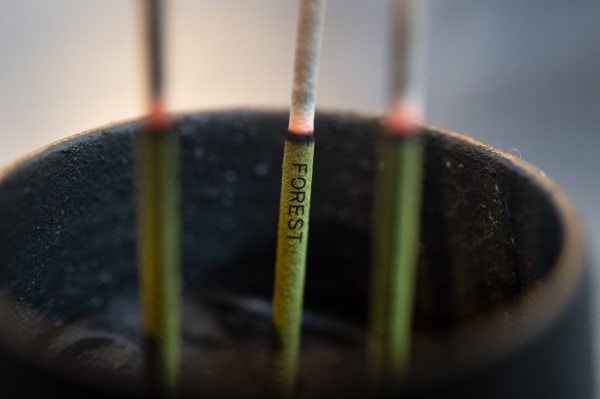 To Burn, Forest, Fire. Katie Paterson 2021. Commissioned by IHME Helsinki, 2021. Photo by Veikko Somerpuro.