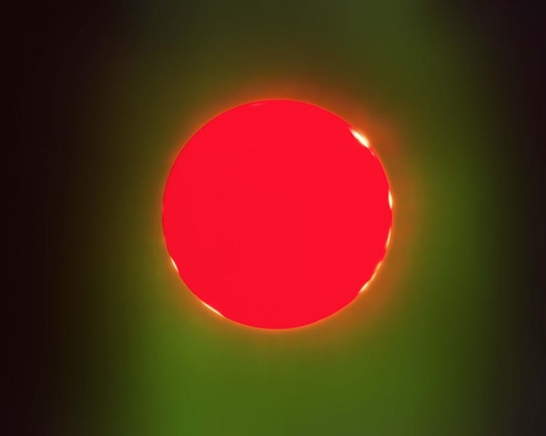 Garry Fabian Miller - Bodleian Libraries