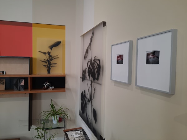 Peter Liversidge - ArtHouse Jersey