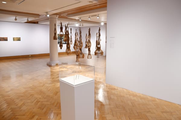 'Deep Rooted' exhibition (18 November 2023-25 February 2024) at City Art Centre. Photo - Greg Macvean