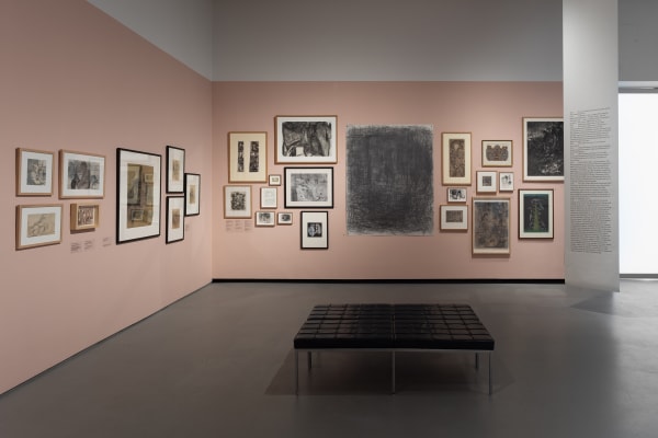 Installation View, 'Drawing the Unspeakable', 2024, Towner Eastbourne. Photograph Rob Harris. Courtesy of Towner Eastbourne.