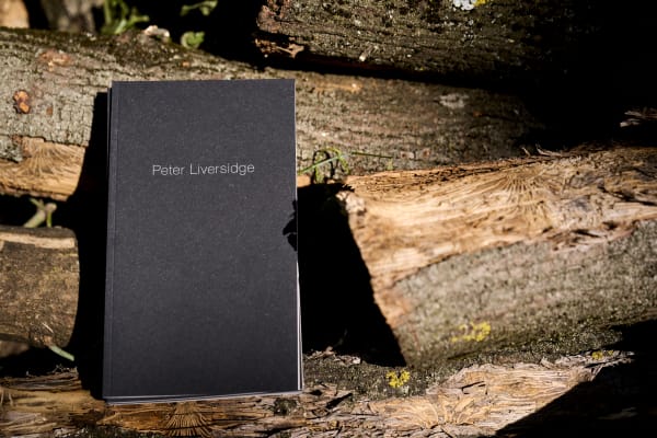 Peter Liversidge: Winter Drawings