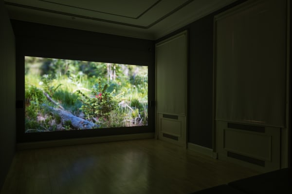 Installation view of NOW VI, Scottish National Gallery of Modern Art One, Edinburgh, 25 October - 31 May 2019 Photography...