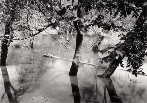 Thomas Joshua Cooper, Drowned Trees along the Mississippi, from the Source to the Sea—Hot Afternoon—Drowning Trees, the Confluence of the...