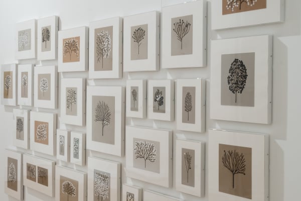 Installation view of 'Sunlight' at Noriwch Castle Museum and Art Gallery, 2024. © Norfolk Museums Service. Photograph by David Kirkham.