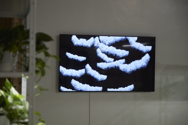 Installation view of Touch Nature at /SAC Bucharest, 2024. Photograph by New Folder Studio.
