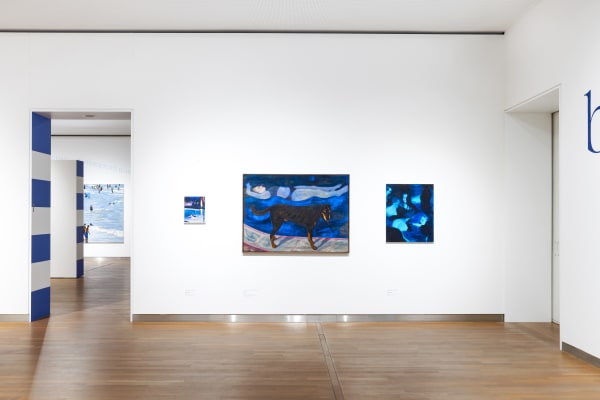 Installation view, Licked by the Waves | New Bathers in Art, 2024, Museum MORE. Photograph © Eva Broekema.