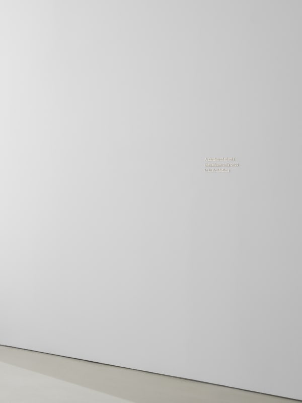 Installation view of A Rose Is at The FLAG Art Foundation, 2025. Photography by Steven Probert.