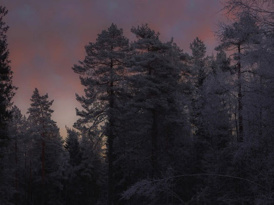 KATIE PATERSON – FUTURE LIBRARY FOREST WITH ELIF SHAFAK