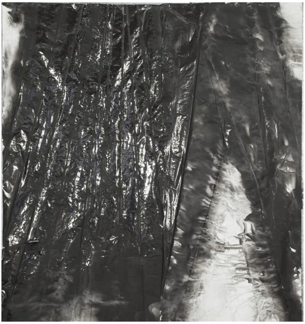 Shaped Reflection 有形的反光, 2015, Ink and acrylic on xuan paper 墨 丙烯 宣纸, 179 x 167 cm