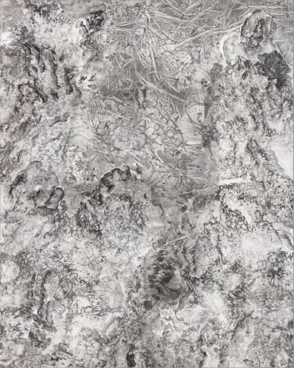 Bingyi's "The Eternal Pond of the Universe" now on view the Harvard Art Museums