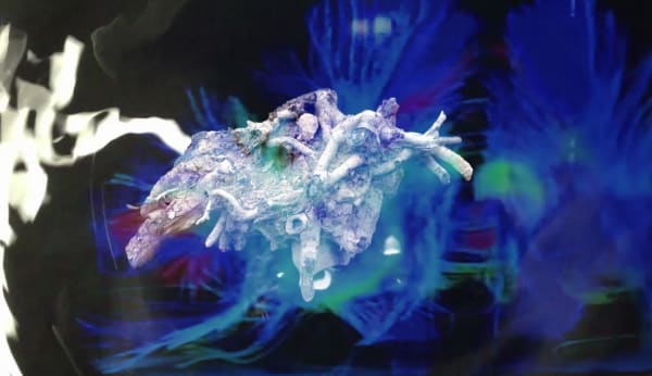 Zheng Chongbin, Branches are Roots in the Sky, 2016, single channel video projection, color, sound, 13:06 minutes. Still image. 郑重宾《枝是天上根》，2016年，单频道视频投影，彩色，有声，13:06分钟。截图。