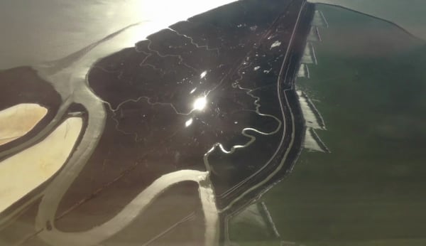 Zheng Chongbin, Branches are Roots in the Sky, 2016, single channel video projection, color, sound, 13:06 minutes. Still image. 郑重宾《枝是天上根》，2016年，单频道视频投影，彩色，有声，13:06分钟。截图。