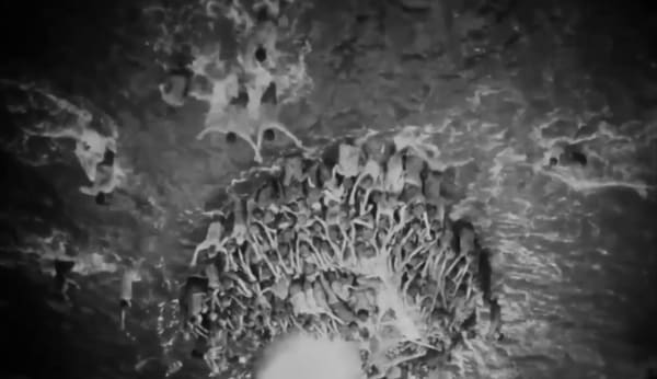Zheng Chongbin, Branches are Roots in the Sky, 2016, single channel video projection, color, sound, 13:06 minutes. Still image. 郑重宾《枝是天上根》，2016年，单频道视频投影，彩色，有声，13:06分钟。截图。