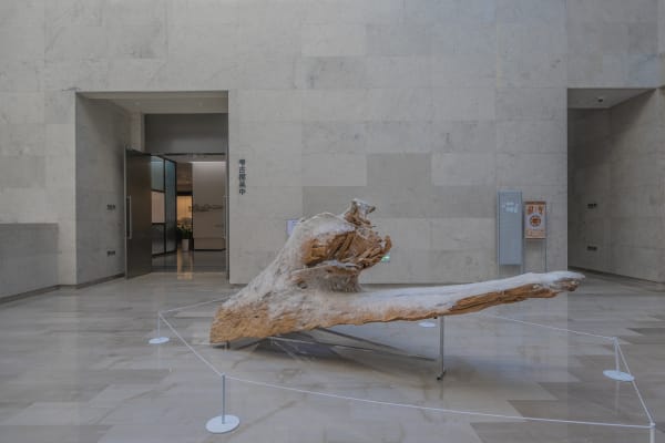 梁绍基，《空槎》 ，蚕丝、蚕茧、槠木，2021-2022 Liang Shaoji, Empty Raft, silk, cocoon and ancient wood, 2021-2022